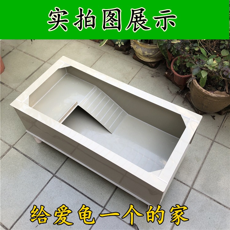 包郵龜苗龜碌養殖箱龜池草龜巴西龜大青南石龜龜箱樓梯曬臺龜缸-細節圖3