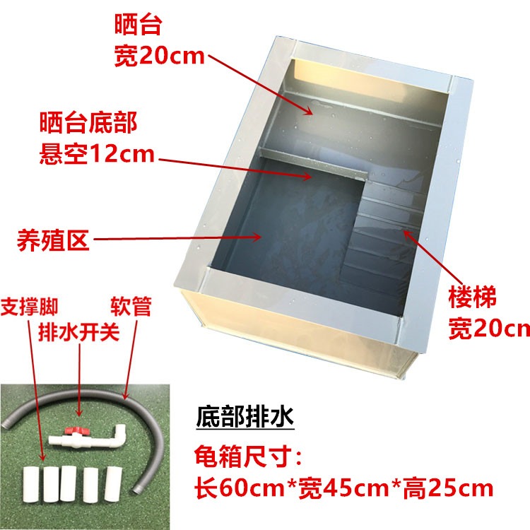 包郵龜苗龜碌養殖箱龜池草龜巴西龜大青南石龜龜箱樓梯曬臺龜缸-細節圖6