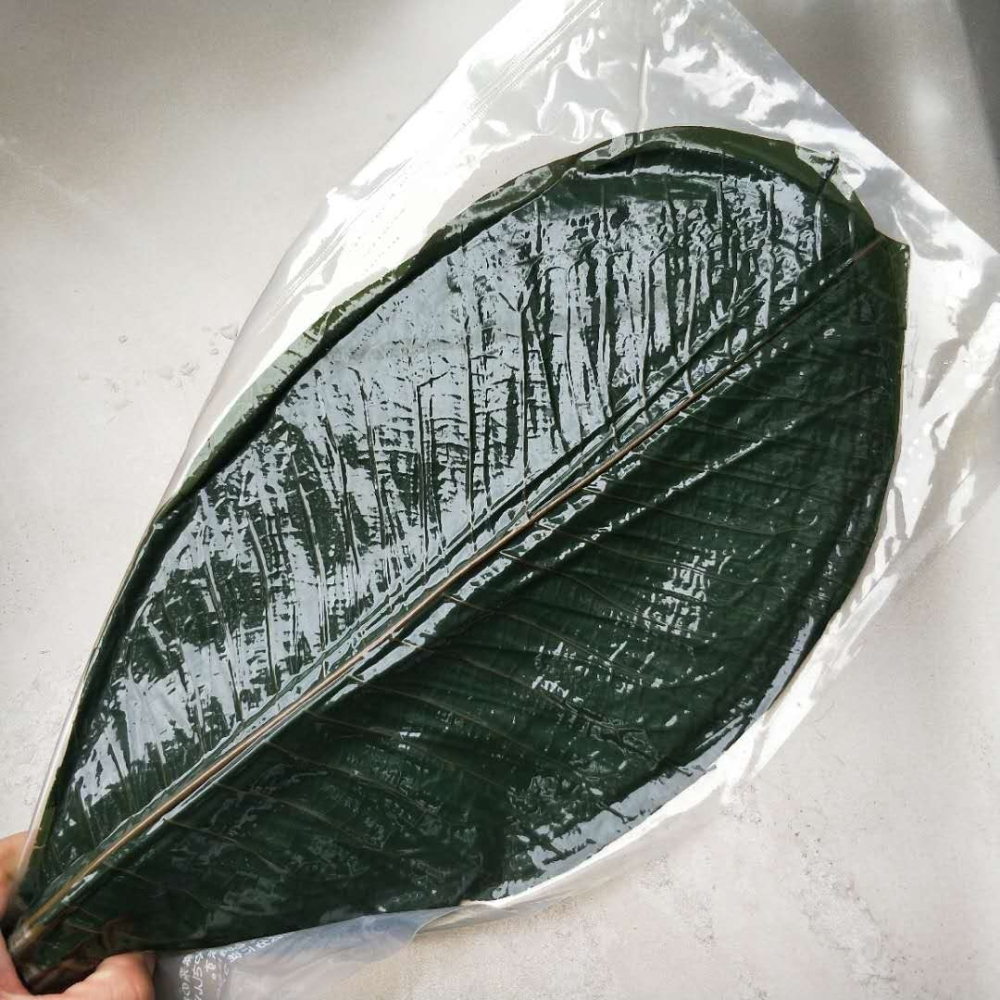 丹麥葉刺身姿造裝飾大樹葉冷菜盤飾熱菜盛器創意餐具日式料理樸葉-細節圖6