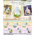 一中盒一套全6種