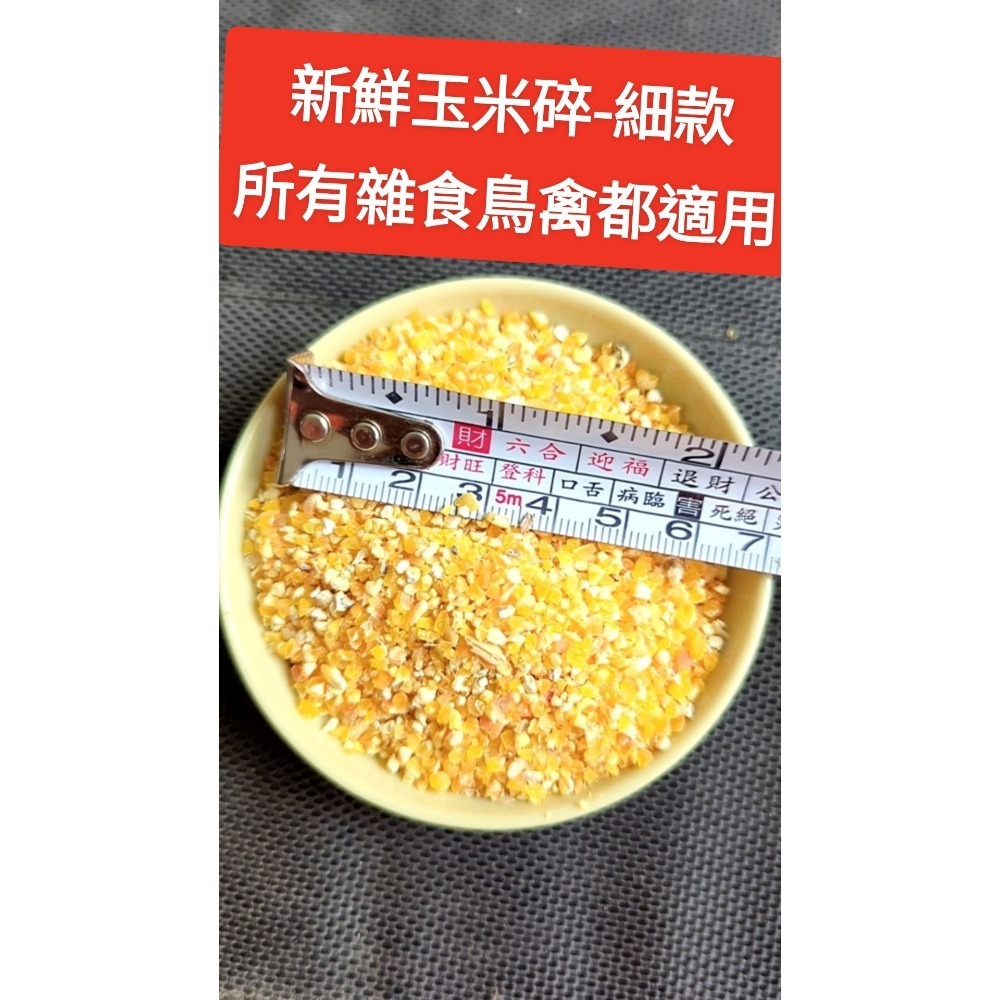 苗栗新鮮現貨碎非基因改造玉米粒、飼料玉米碎（細）、成雞飼料小雞飼料、科爾鴨、成鴨飼料、鵝、鸚鵡、鴿子、倉鼠飼料、玉米粉-規格圖1