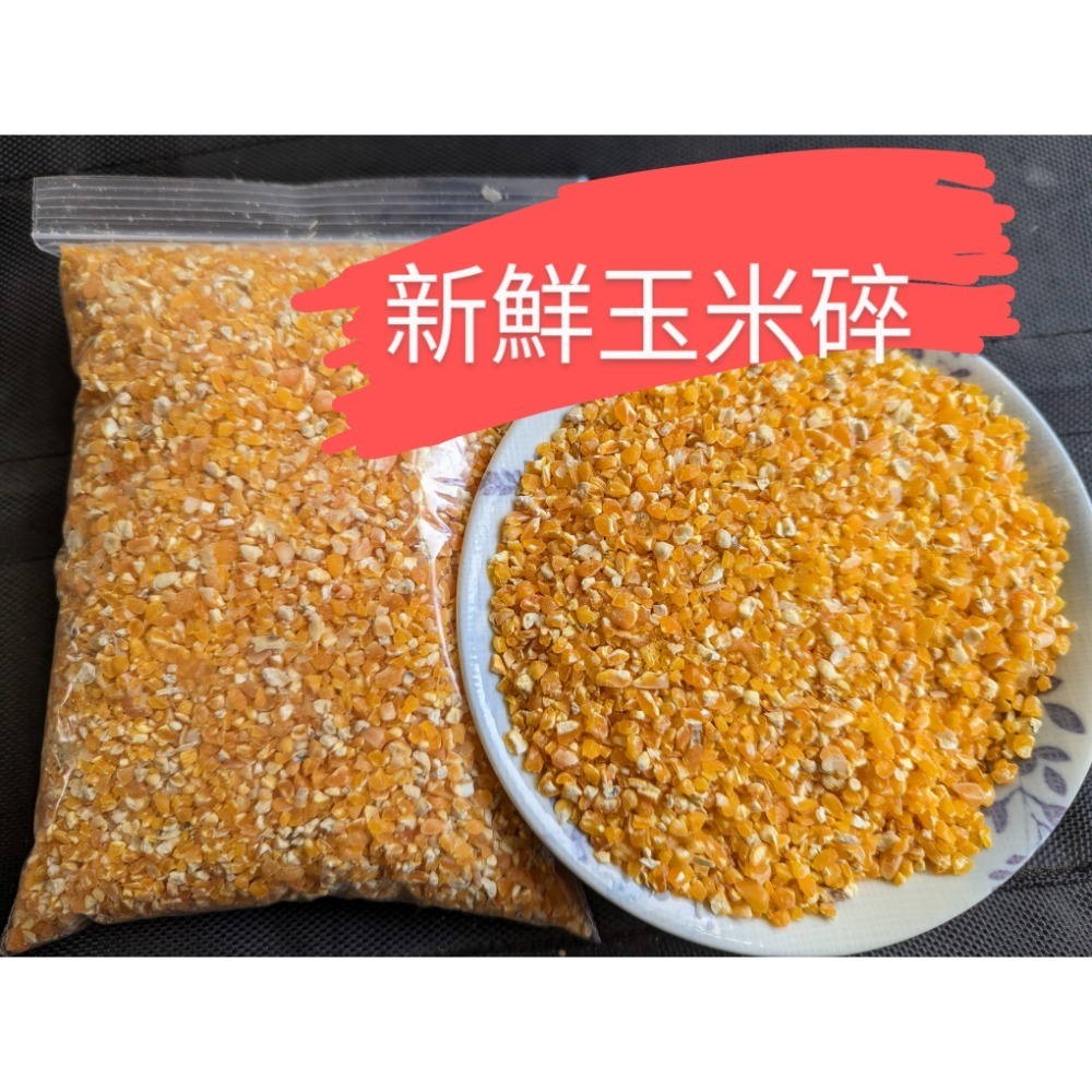 苗栗新鮮現貨碎非基因改造玉米粒、飼料玉米碎（細）、成雞飼料小雞飼料、科爾鴨、成鴨飼料、鵝、鸚鵡、鴿子、倉鼠飼料、玉米粉-規格圖1