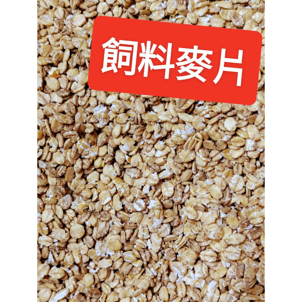 麥片飼料優質植物性蛋白新鮮現貨成雞成鴨飼料、鴿子、鵝、鳥、柯爾鴨、綠頭鴨、鸚鵡、倉鼠、兔子、豬、狗、魚飼料釣魚打底撒餌-規格圖2