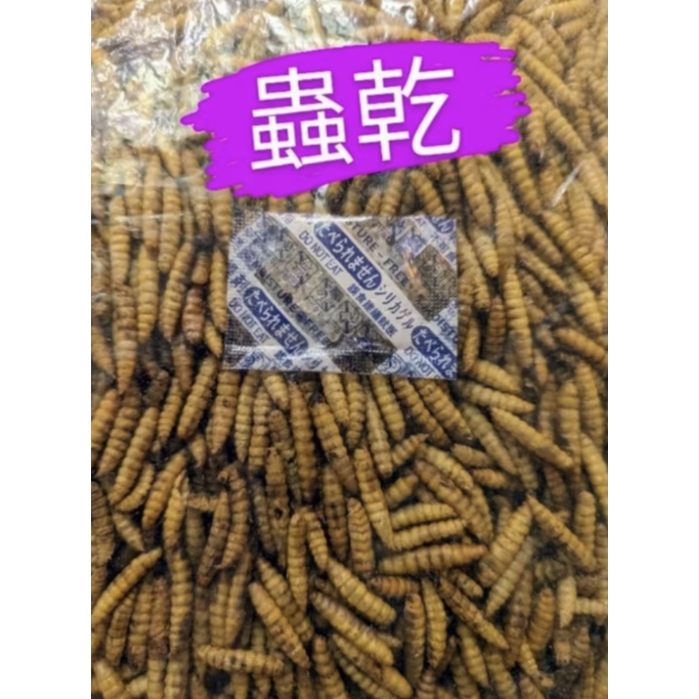 蟲乾