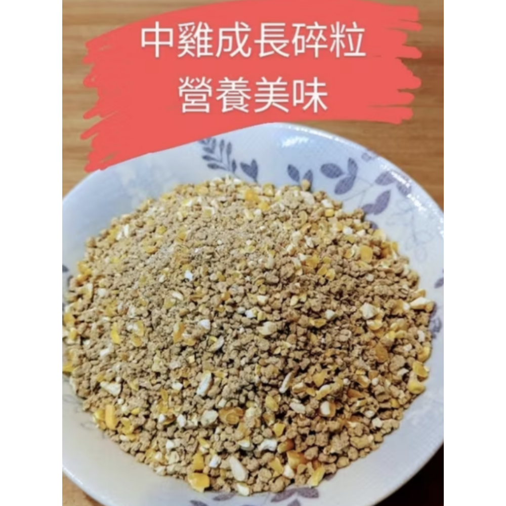 500g中雞4週~產蛋前