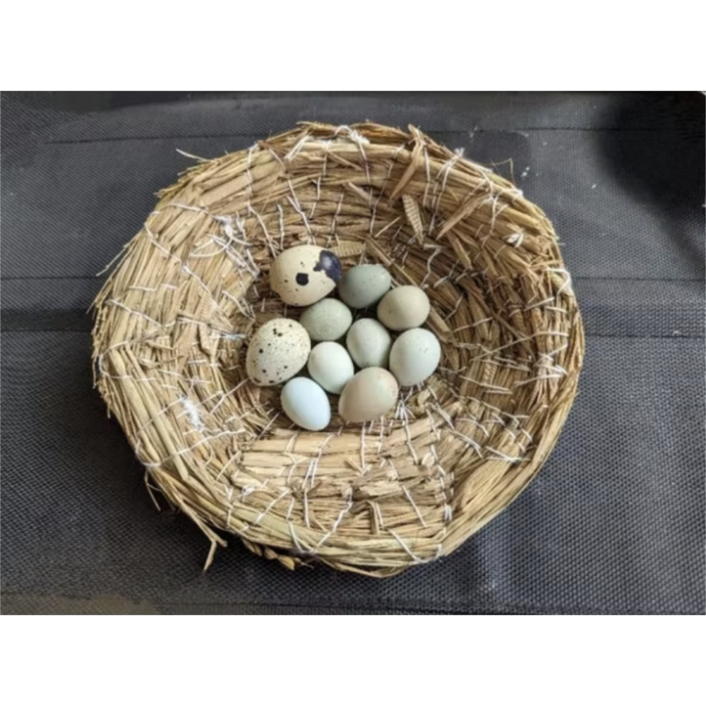 盧丁雞天然手工稻草編織產蛋窩、文鳥鸚鵡錦華鳥窩、鵪鶉繁殖窩鳥巢生蛋窩小鳥窩淺盤下蛋盆-細節圖3