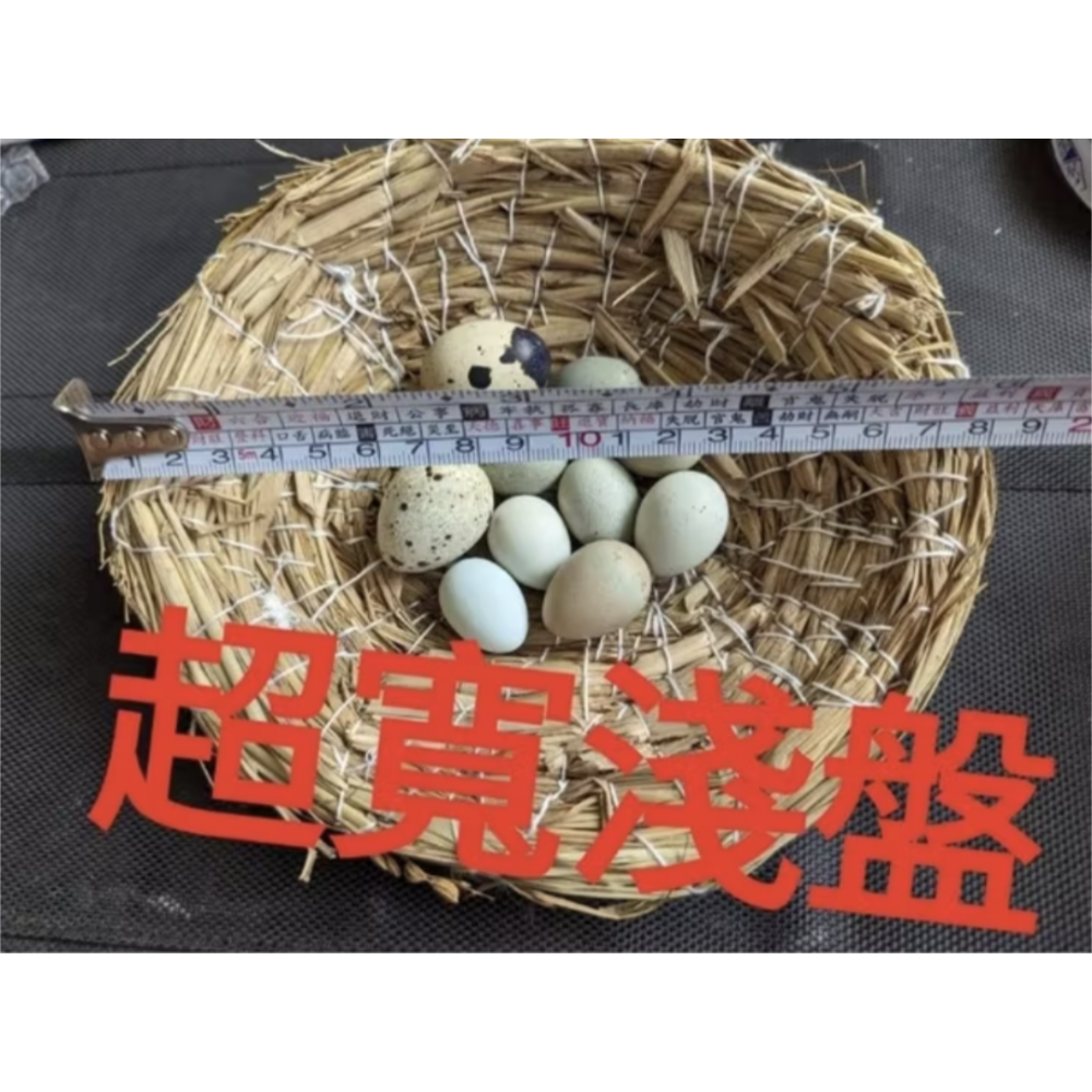 盧丁雞天然手工稻草編織產蛋窩、文鳥鸚鵡錦華鳥窩、鵪鶉繁殖窩鳥巢生蛋窩小鳥窩淺盤下蛋盆-規格圖3