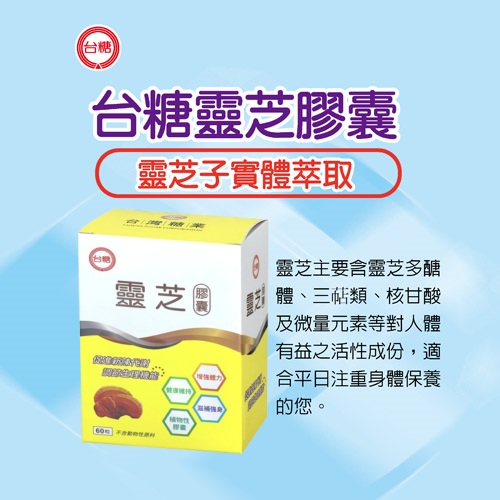 ◆期限202701◆台糖靈芝 膠囊60粒/盒◆ 多醣體 三萜類 核甘酸 靈芝子實體萃取物 植物性膠囊-細節圖3
