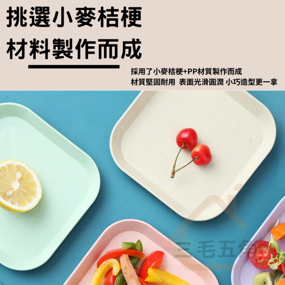 【三毛五角】小麥纖維餐菜小盤子 台灣現貨 骨頭碟 小盤子 醬料 碟盤 廚具 擺設 廚房 餐廳 小麥 盤子 餐盤-細節圖2