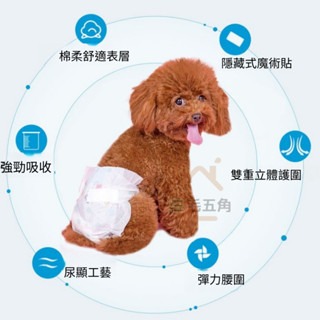 狗尿布 寵物尿布 禮貌帶 尿褲 簡單生活公狗禮貌帶 母狗生理褲 寵物拋棄式紙尿褲 狗狗禮貌帶 寵物 紙尿褲【三毛五角】-細節圖5
