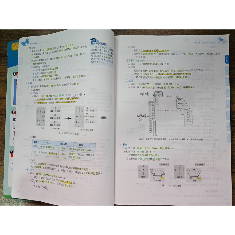 《雪人胖胖雜貨店》基礎生物(科大四技)(有測試題) #轉考 #二手書 #科大四技-細節圖3