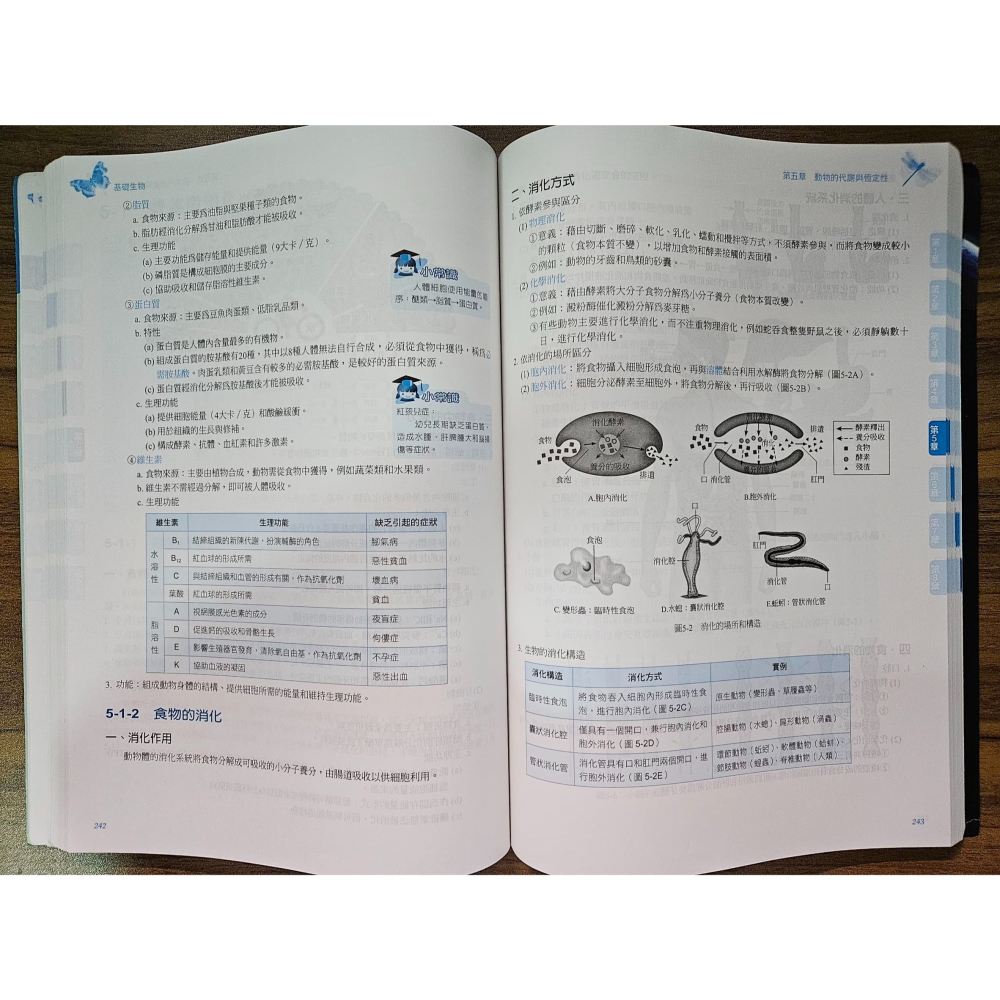 《雪人胖胖雜貨店》基礎生物(科大四技)(有測試題) #轉考 #二手書 #科大四技-細節圖4