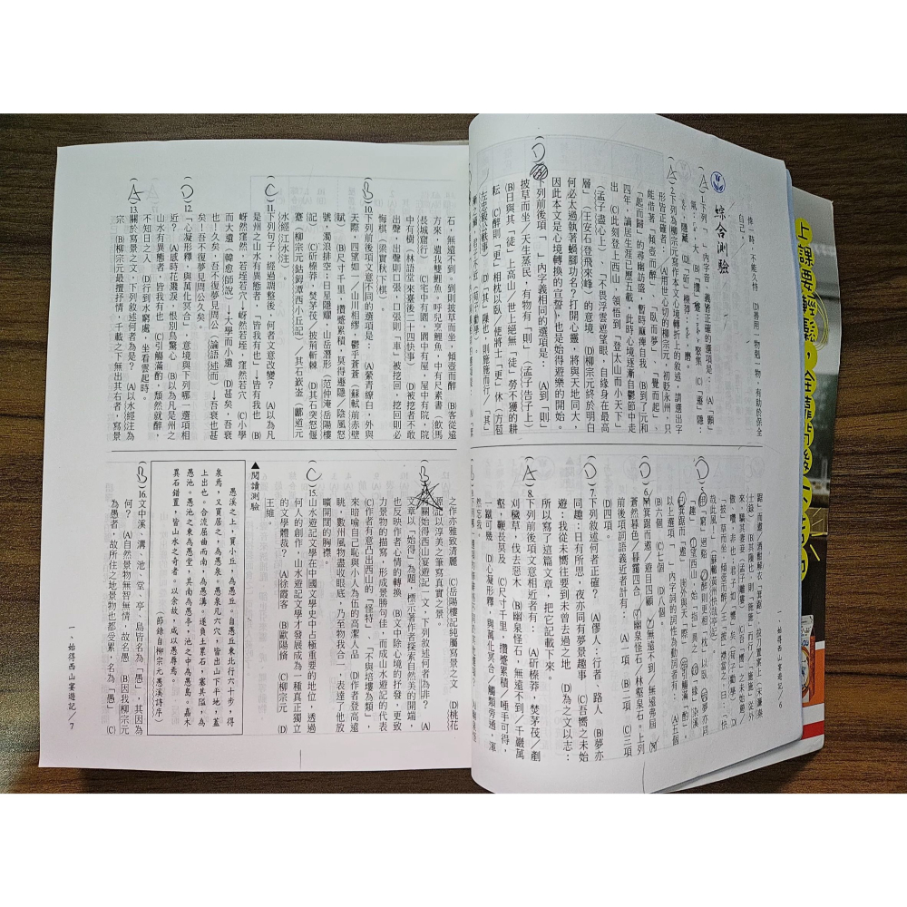 《雪人胖胖雜貨店》國文精編總複習 龍騰版 A+B冊(兩本不拆賣) #二手書 #統測 #國文 #謝純淨-細節圖2