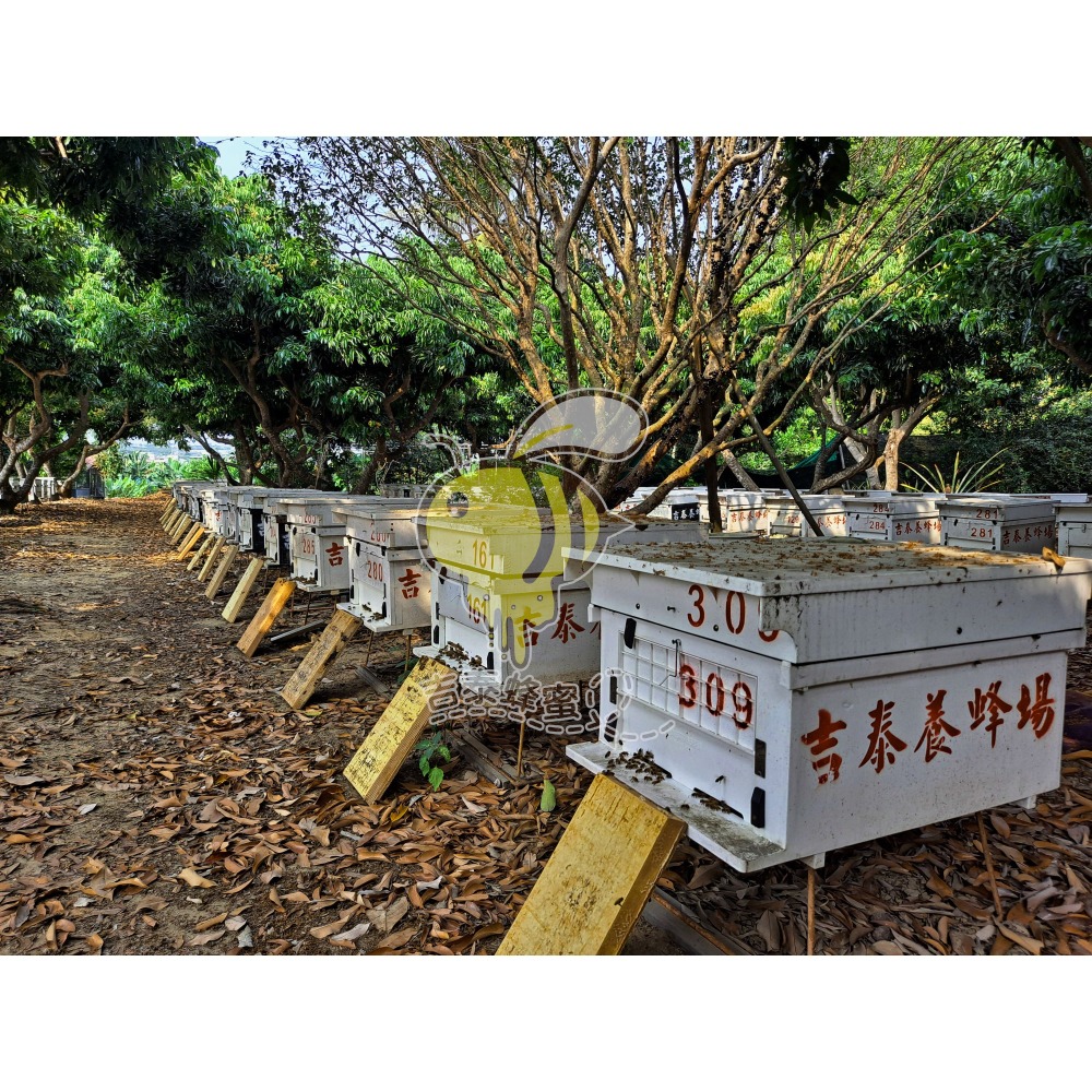 【吉泰養蜂場】 百花蜜/龍眼蜜  700g/瓶    #國產蜂蜜  #純蜂蜜 #自產自銷  #零添加-細節圖2