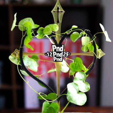 (新上架) PND 原創 植物 爬藤架 壓克力 塊根 龜甲龍 山烏龜 室內 攀爬 園藝 花架