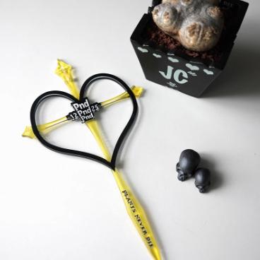 (新上架) PND 原創 植物 爬藤架 壓克力 塊根 龜甲龍 山烏龜 室內 攀爬 園藝 花架-細節圖4