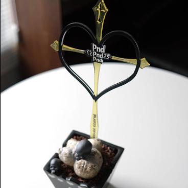 (新上架) PND 原創 植物 爬藤架 壓克力 塊根 龜甲龍 山烏龜 室內 攀爬 園藝 花架-細節圖5