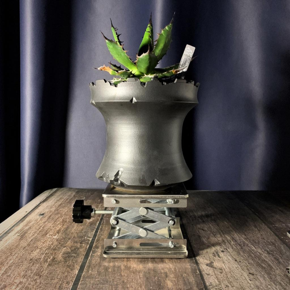 (現貨) 304 不鏽鋼 升降台 擺設 塊根 微型 升降 水平儀 擺拍 底台 金屬擺件 非SRL 墊高-細節圖4