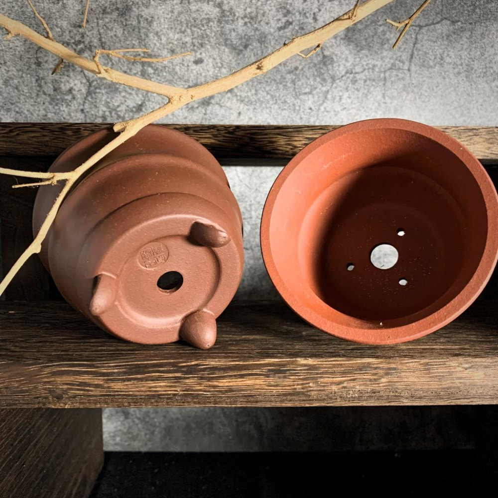 (新上架) 三足金鐘 紫砂 小盆 微型盆 簡約 缽 多肉盆 塊根盆 拇指盆 豆盆-細節圖3