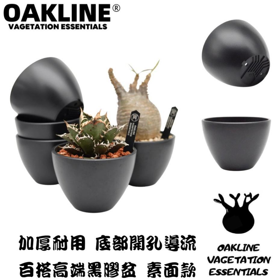 (現貨最低價) OAKLINE OAS-01 高端 黑膠盆 塊根盆 多肉盆植木缽 日式風格 花盆 嚴龍  象牙宮 缽-細節圖5