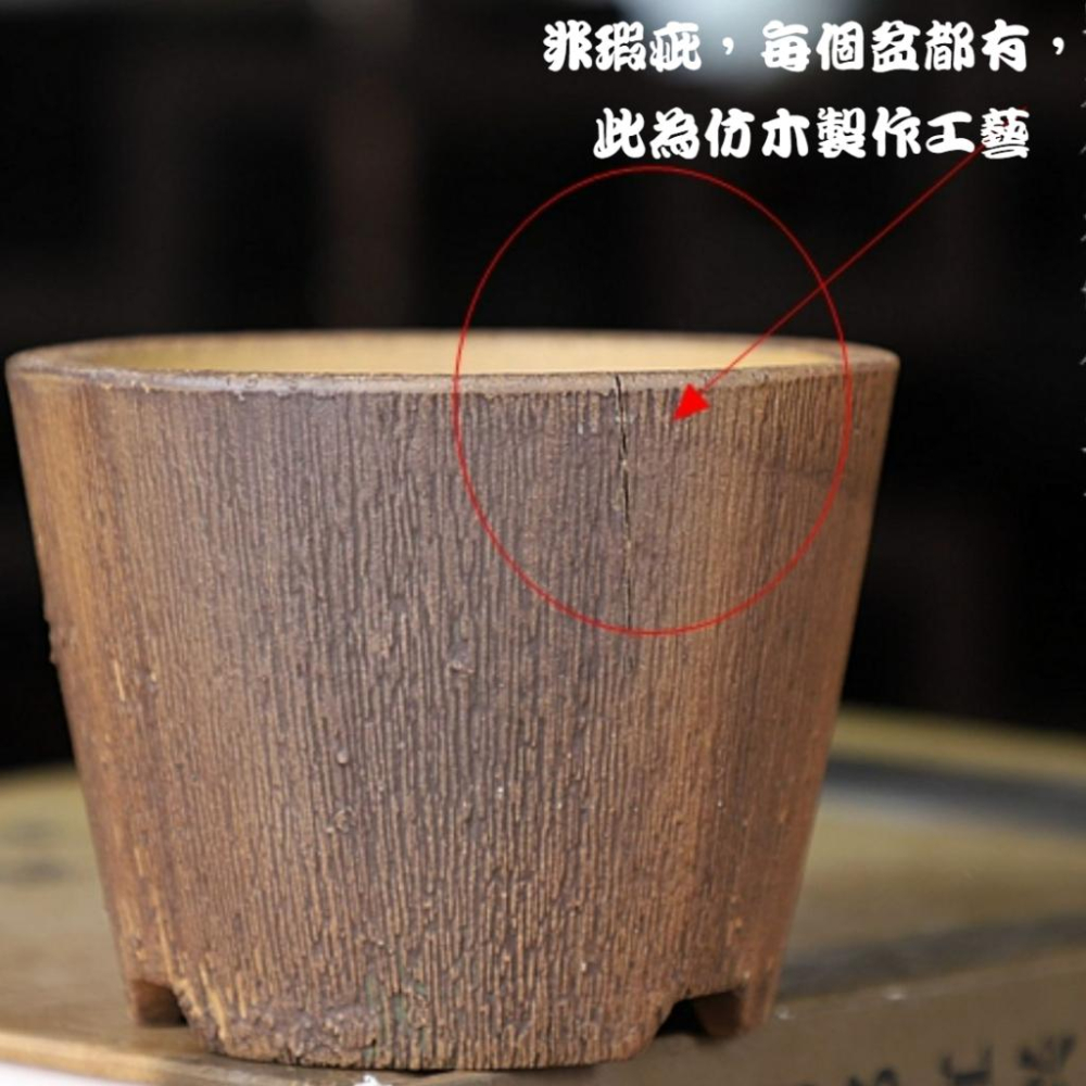 (少量現貨)粗陶 仿木紋 仿古🔥盆 日式 手工 陶盆  植木缽 花盆 塊根盆 嚴龍盆 象牙宮盆 盆 陶盆-細節圖5
