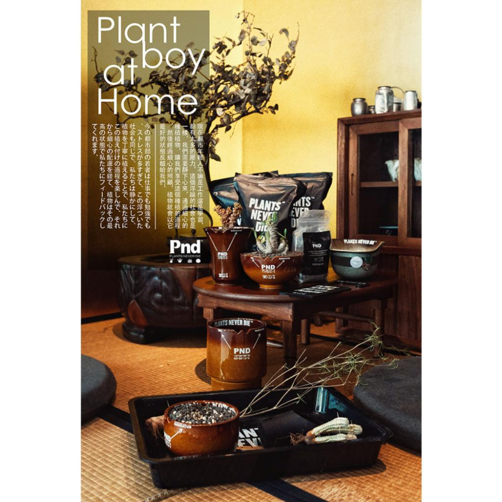 (新上架)PND 原創 軍事風 大地色 漸層 精品 塊根  花盆 陶瓷 透氣  多肉 潮流 日式風格 特殊色-細節圖8