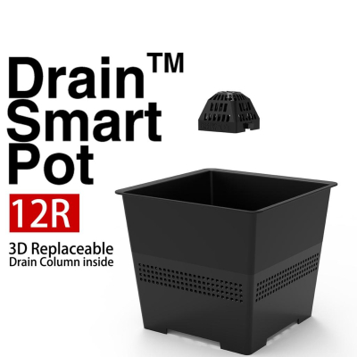 (新款)DrainSmartPot 12R 可替換瀝水柱 控根 龍舌蘭 盆 塊根 方盆 多肉 排水 透氣 象牙宮 蔓綠絨