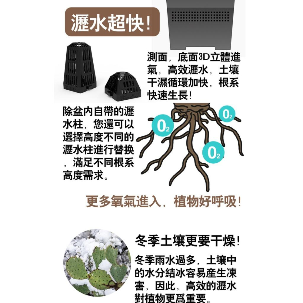 (新款)DrainSmartPot 12R 可替換瀝水柱 控根 龍舌蘭 盆 塊根 方盆 多肉 排水 透氣 象牙宮 蔓綠絨-細節圖3
