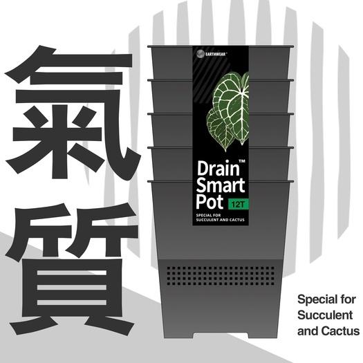 (新款)DrainSmartPot 12R 可替換瀝水柱 控根 龍舌蘭 盆 塊根 方盆 多肉 排水 透氣 象牙宮 蔓綠絨-細節圖5