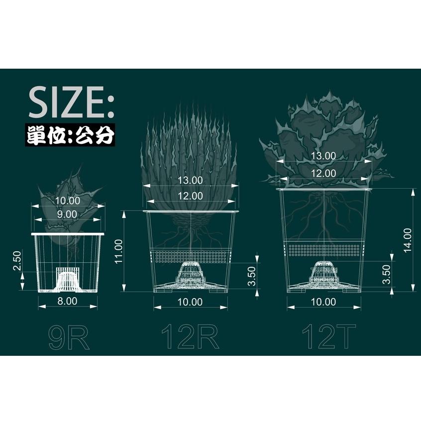 (新款)DrainSmartPot 12R 可替換瀝水柱 控根 龍舌蘭 盆 塊根 方盆 多肉 排水 透氣 象牙宮 蔓綠絨-細節圖8