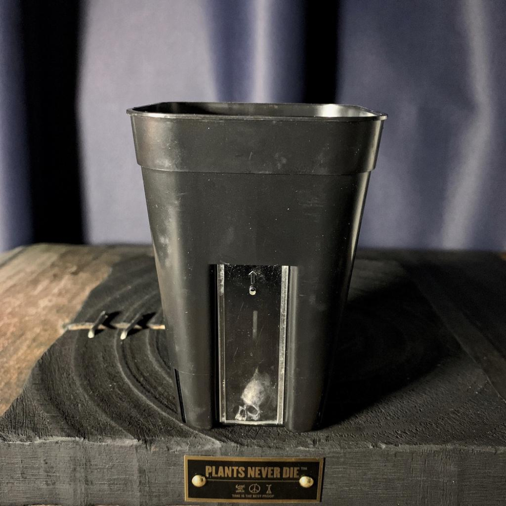 (現貨免運)觀水 花盆 外銷日本 發根 專用盆 塊根 透氣  龍舌蘭 多肉 缽 非黑膠盆 透視 盆 萬象 新手推薦-細節圖7