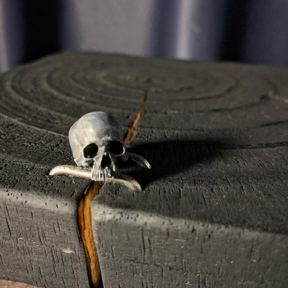 （現貨）迷你 骷髏 玩 鋪面石 1/12 骷髏 頭骨 模型 骨頭模型 場景配件 兵人擺件 塊根 嚴龍 多肉-細節圖5