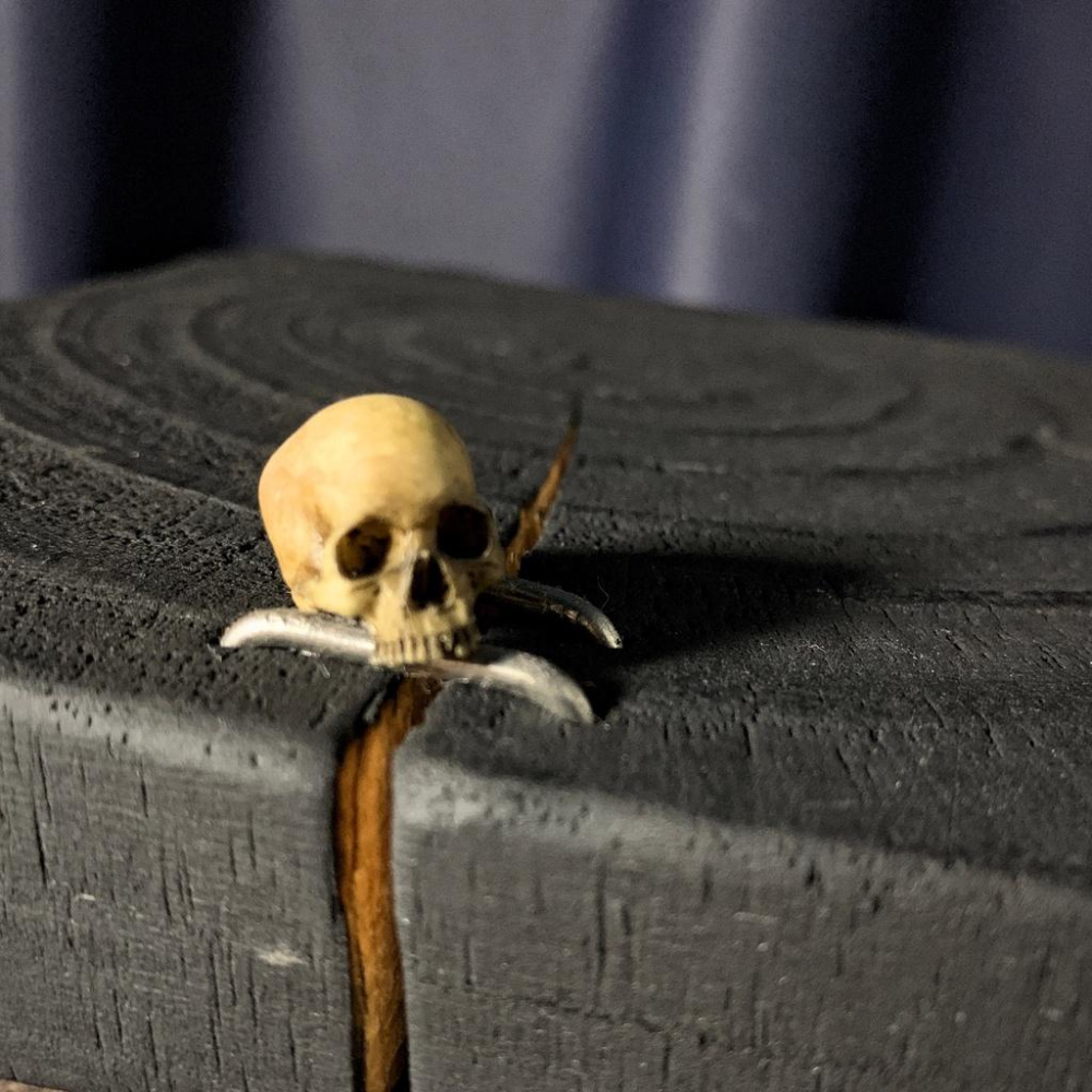 （現貨）迷你 骷髏 玩 鋪面石 1/12 骷髏 頭骨 模型 骨頭模型 場景配件 兵人擺件 塊根 嚴龍 多肉-細節圖6