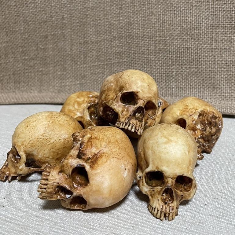 （現貨）迷你 骷髏 玩 鋪面石 1/12 骷髏 頭骨 模型 骨頭模型 場景配件 兵人擺件 塊根 嚴龍 多肉-細節圖7