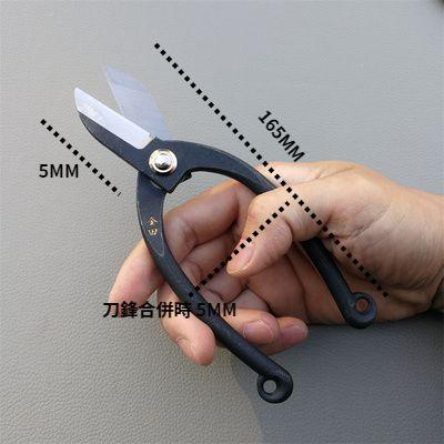 (現貨）園藝剪 小枝切鋏  池坊鋏  芽切鋏 修枝剪  嫩芽剪 全鋼剪 樹枝修剪 塊根 沒藥  乳香  觀葉植物 鋏-細節圖4