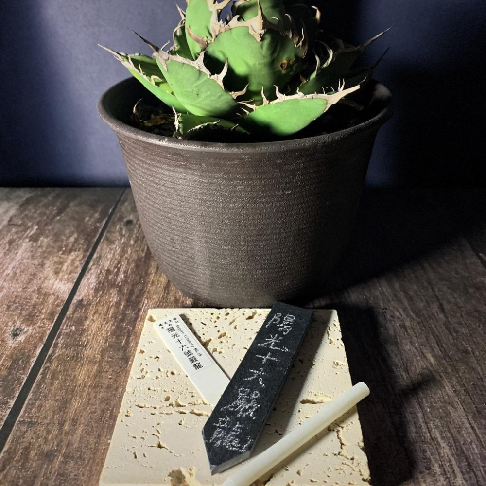 (現貨) 板岩 單入 花牌 標籤 植物花牌 紀錄 塊根 龍舌蘭 龜背芋 觀葉 蔓綠絨 花燭 觀葉植物-細節圖2