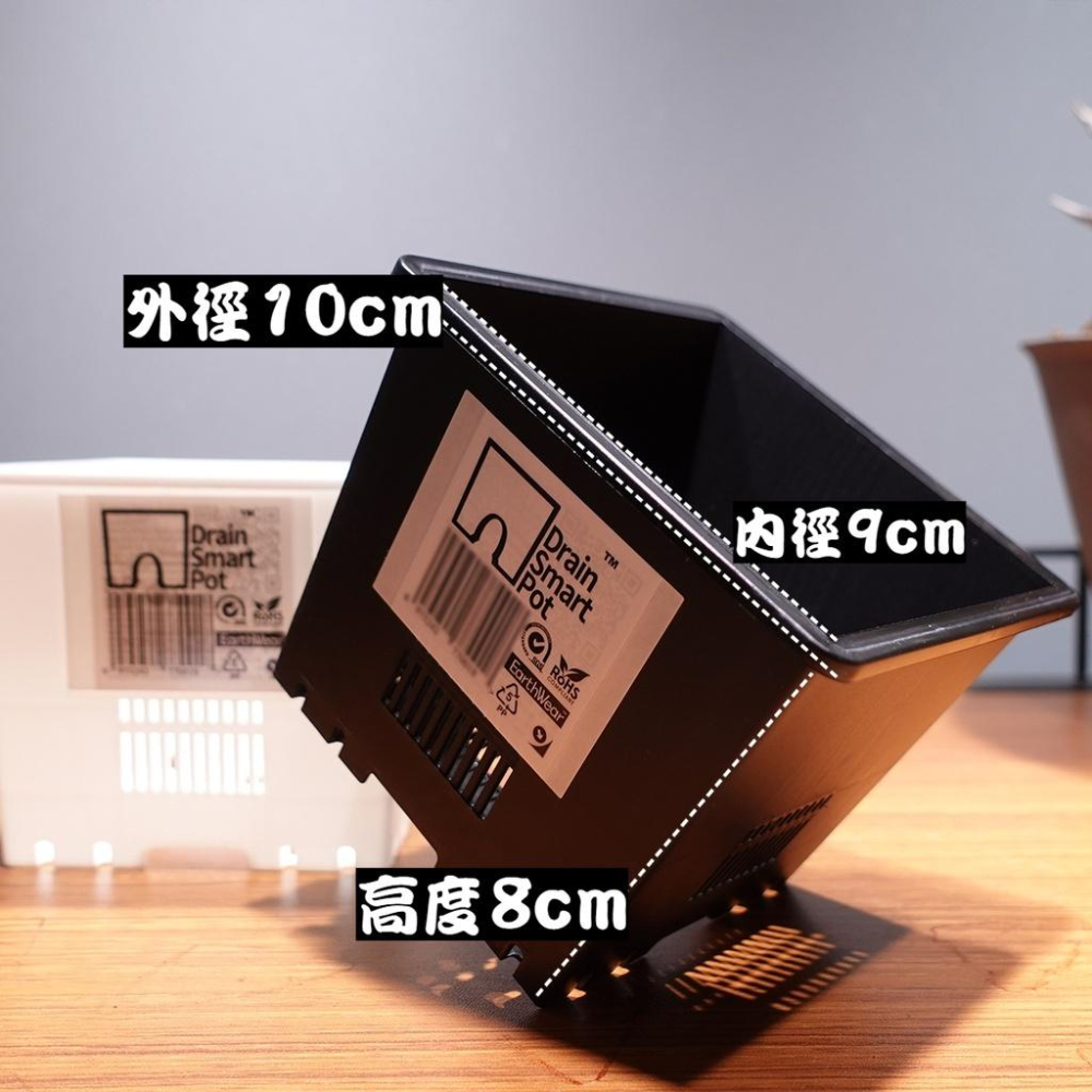 DrainSmartPot S12 熱植盆 防爛根 蔓綠絨 龍舌蘭 盆 塊根 仙人掌 方盆 多肉 控根 透氣 黑魂 花燭-細節圖2