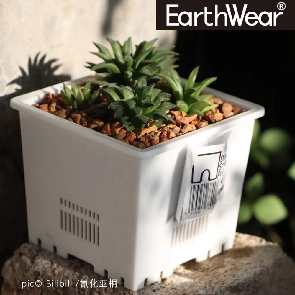 DrainSmartPot S12 熱植盆 防爛根 蔓綠絨 龍舌蘭 盆 塊根 仙人掌 方盆 多肉 控根 透氣 黑魂 花燭-細節圖3