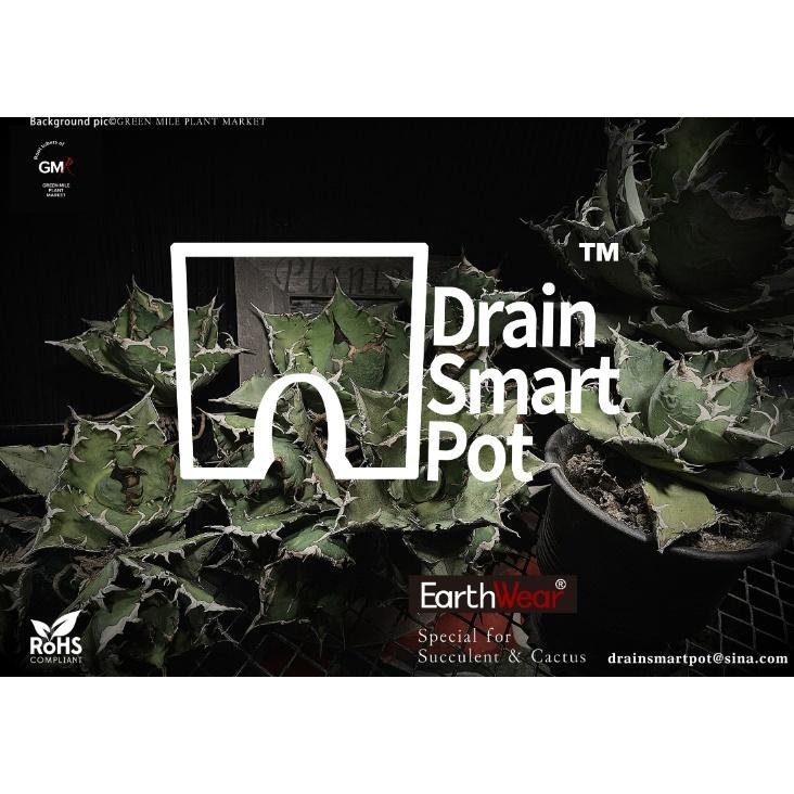 DrainSmartPot S12 熱植盆 防爛根 蔓綠絨 龍舌蘭 盆 塊根 仙人掌 方盆 多肉 控根 透氣 黑魂 花燭-細節圖8