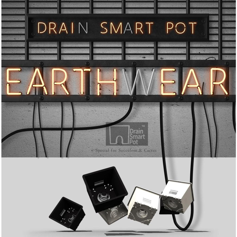 DrainSmartPot S12 熱植盆 防爛根 蔓綠絨 龍舌蘭 盆 塊根 仙人掌 方盆 多肉 控根 透氣 黑魂 花燭-細節圖9