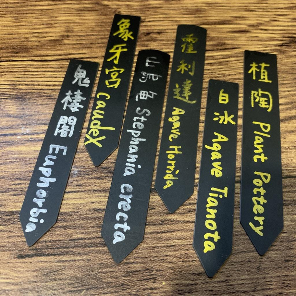 (現貨) 黑魂 高端PVC 單入 防水 花牌 霧面 植物名牌 耐老化 多肉 塊根 標簽 防水 園藝 一字插牌 記錄-細節圖8