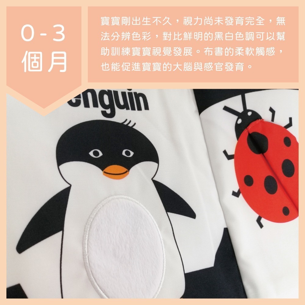 【小牛津 Okids博士積木】動物立體視覺布書-細節圖2