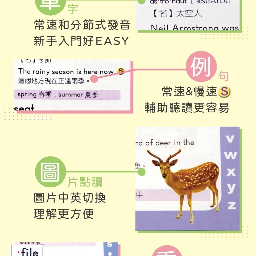 【小牛津】我的第一套兒童美語圖點寶盒-32G點讀筆+ABC點讀掛圖-細節圖6