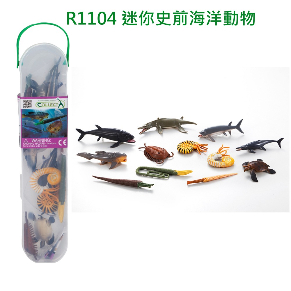 【英國collectA】 迷你動物、海洋組盒裝12入~英國高擬真模型  -細節圖6