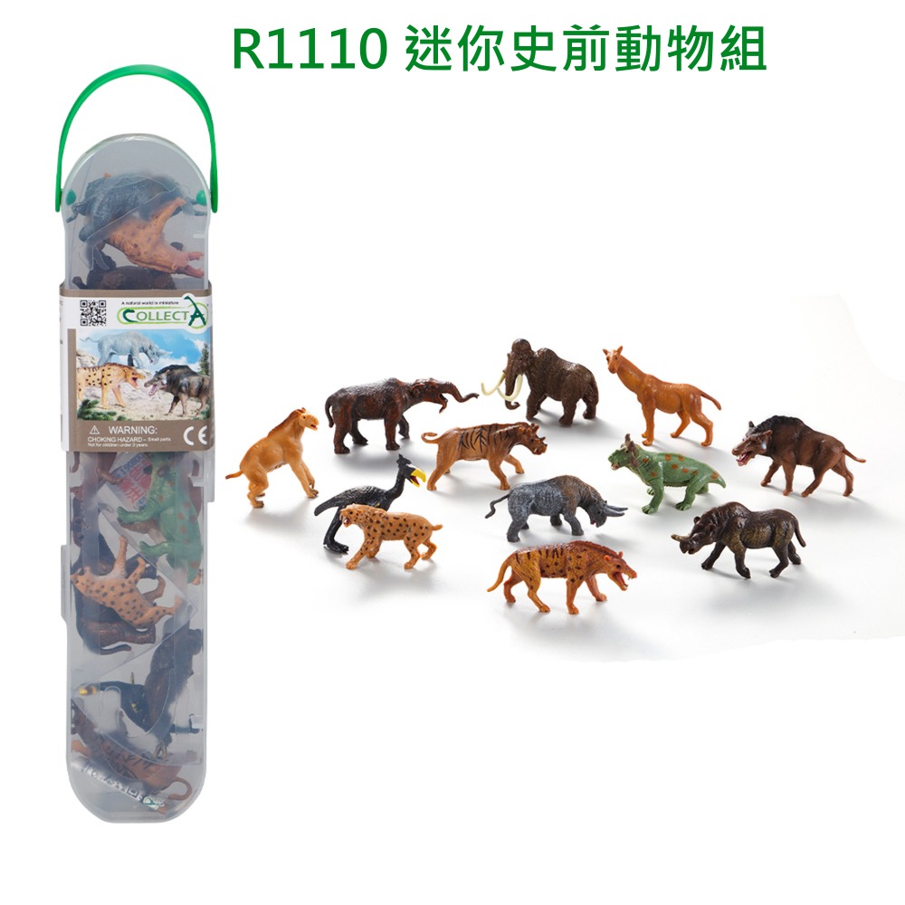 【英國collectA】 迷你史前動物、小恐龍盒裝12入~英國高擬真模型-細節圖2