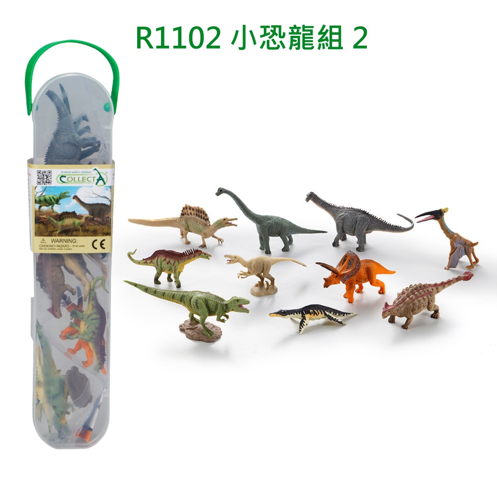 【英國collectA】 迷你史前動物、小恐龍盒裝12入~英國高擬真模型-細節圖4