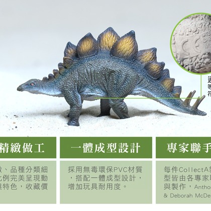 【英國collectA】 迷你史前動物、小恐龍盒裝12入~英國高擬真模型-細節圖5
