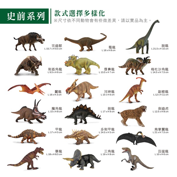 【英國collectA】 迷你史前動物、小恐龍盒裝12入~英國高擬真模型-細節圖8