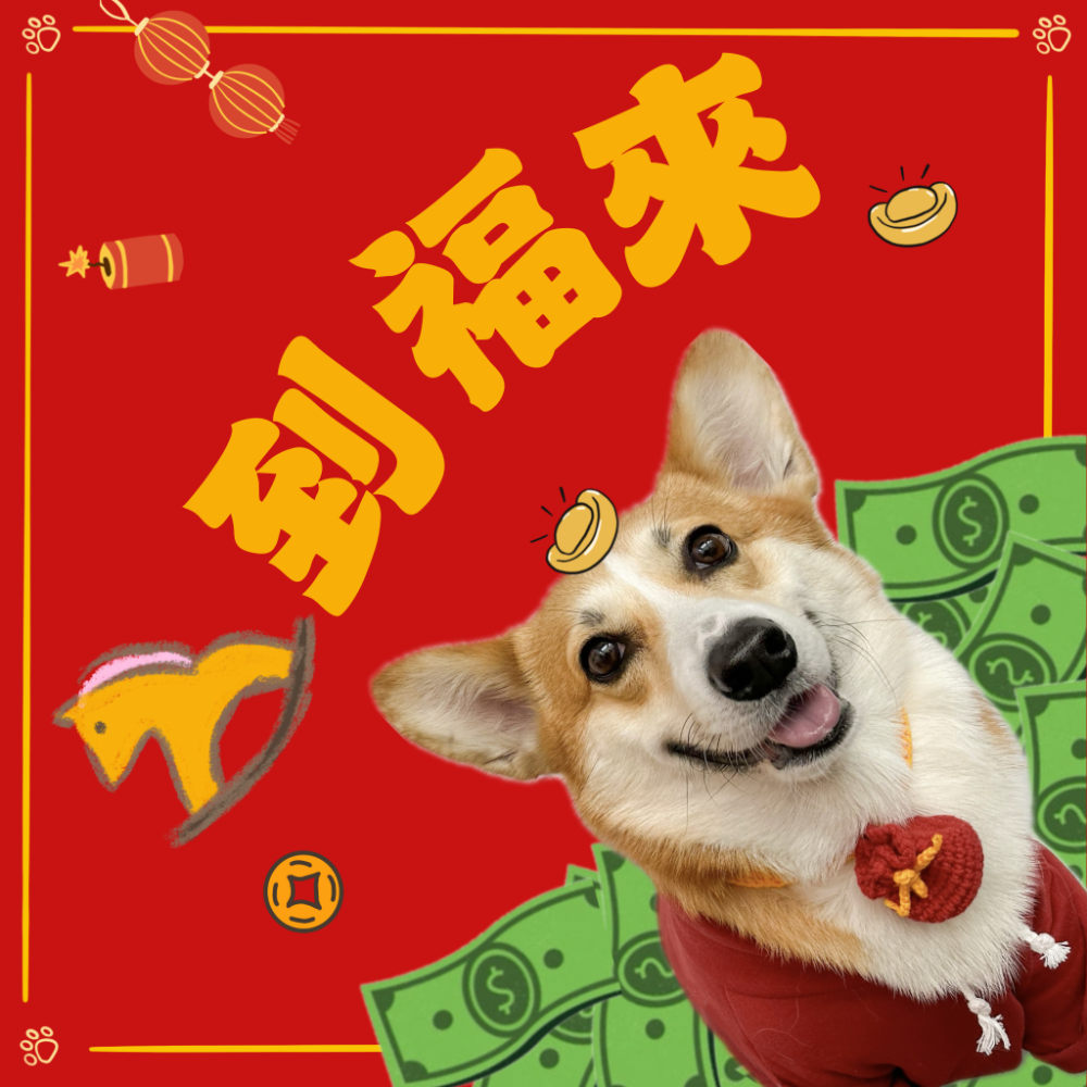 HiBu♡｜客製化寵物春聯 屬於自己的春聯 馬年春聯 2026春聯 福 旺 柯基春聯 狗狗春聯 插畫春聯 文創春聯-規格圖7
