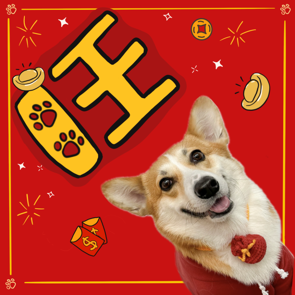 HiBu♡｜客製化寵物春聯 屬於自己的春聯 馬年春聯 2026春聯 福 旺 柯基春聯 狗狗春聯 插畫春聯 文創春聯-規格圖7